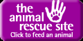 feed an animal in need